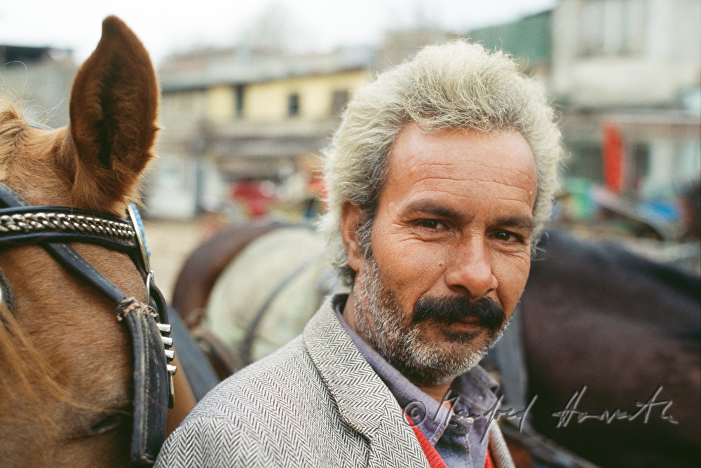 coachman and horse-drawn vehicle