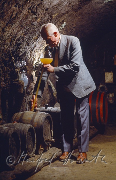 vintner takes a sample