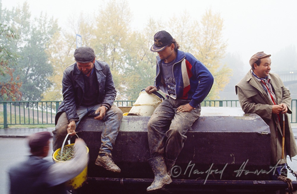 vintners and workers with horse cab