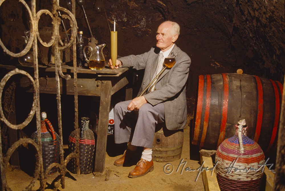 vintner doing wine anylysis in the wine cellar