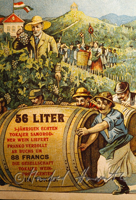 Tokaj Museum: old poster on display