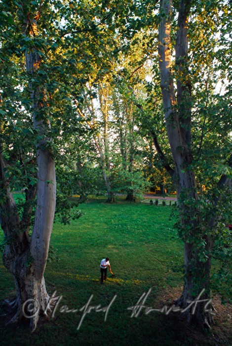 gardener in the castle park