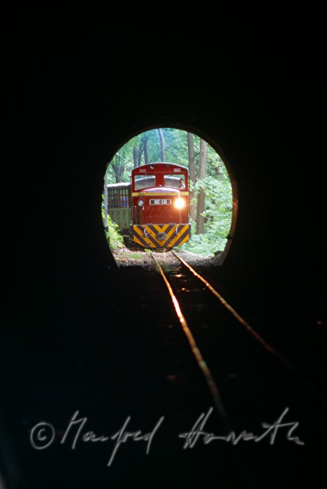 rail for sightseeing tours in the tunnel