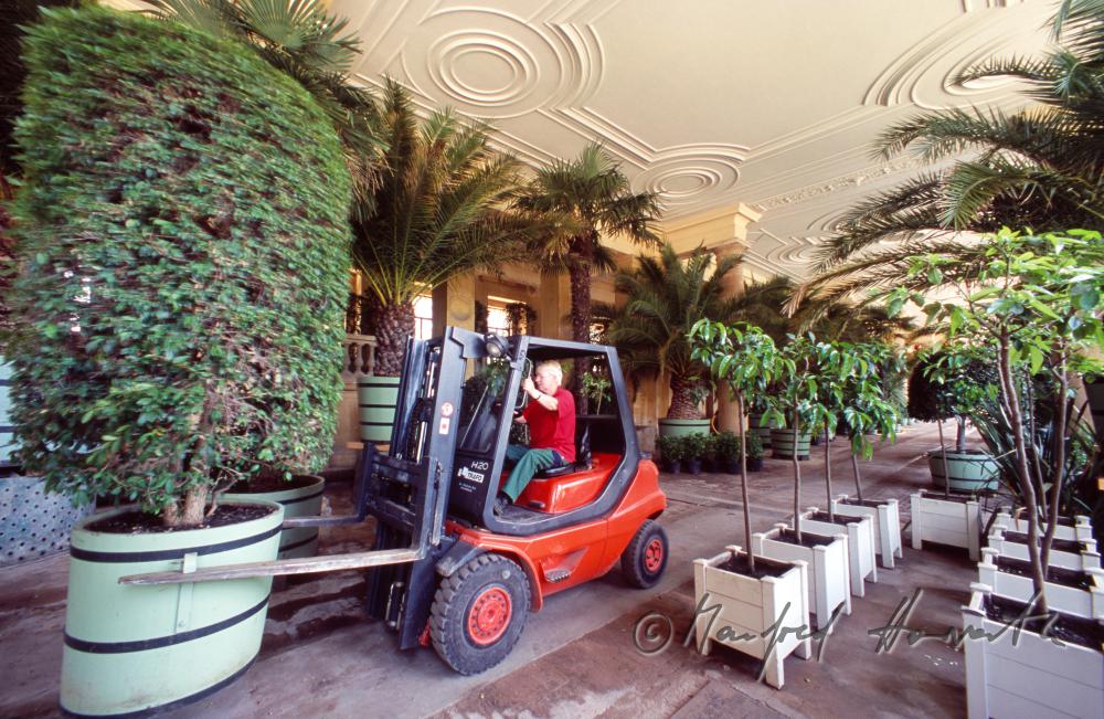 gardener at work