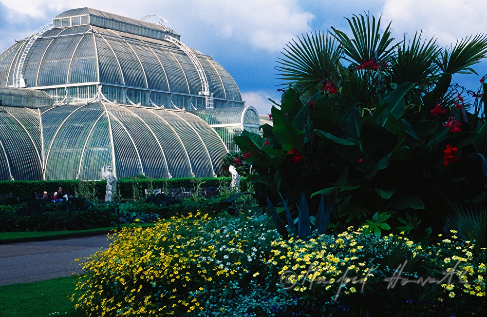 palmhouse and flower bed