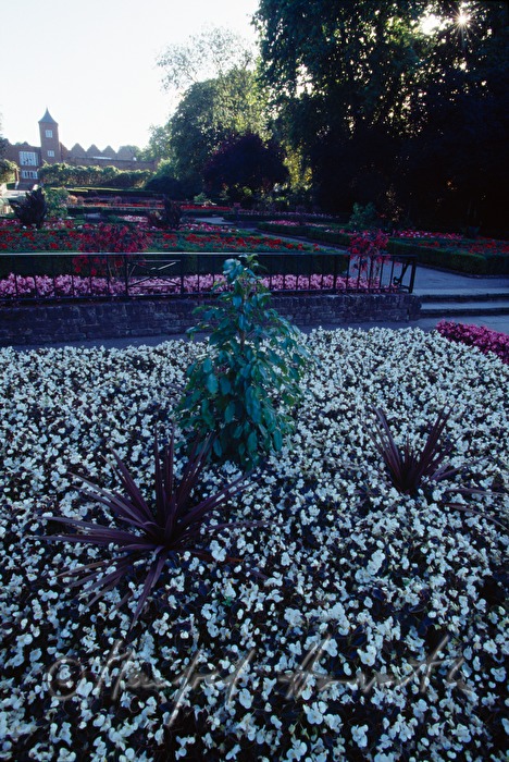 formal gardens with Holland House