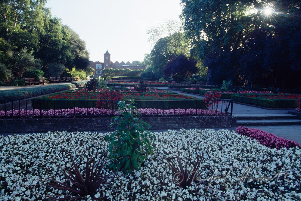 formal gardens with Holland House