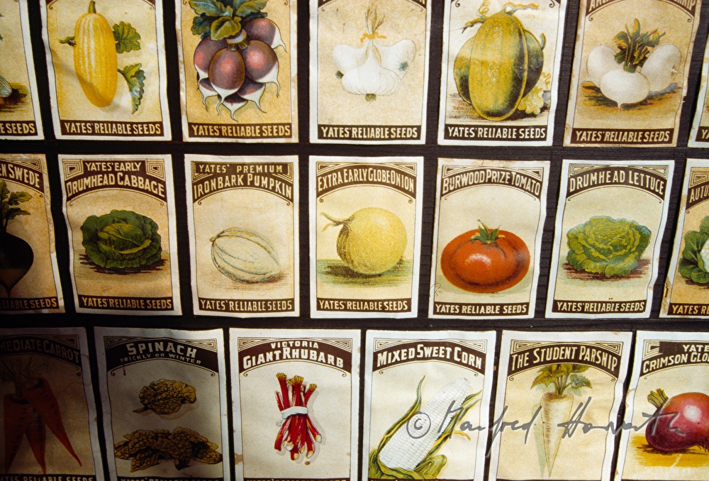 packages of seeds