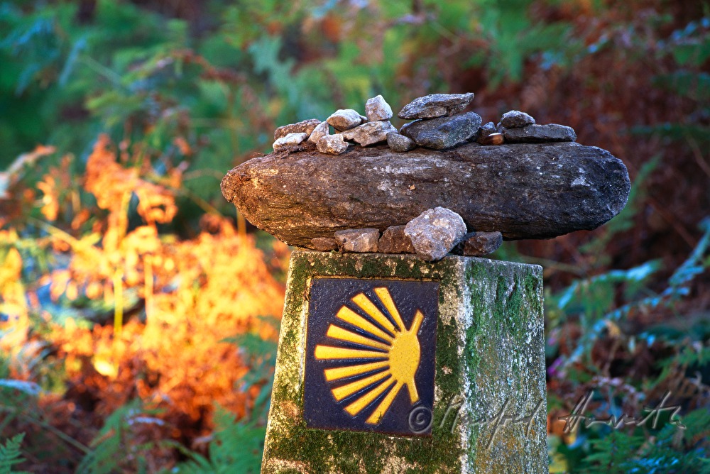 scallop on  a milestone /symbol of Way of Saint James