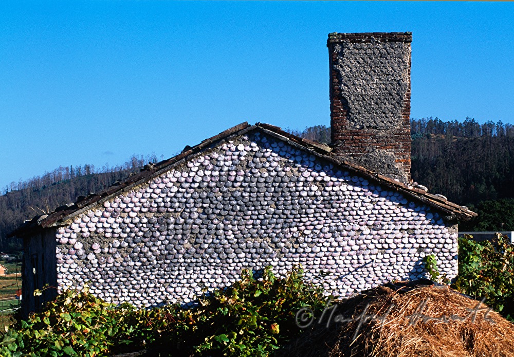house with scallops on the facade