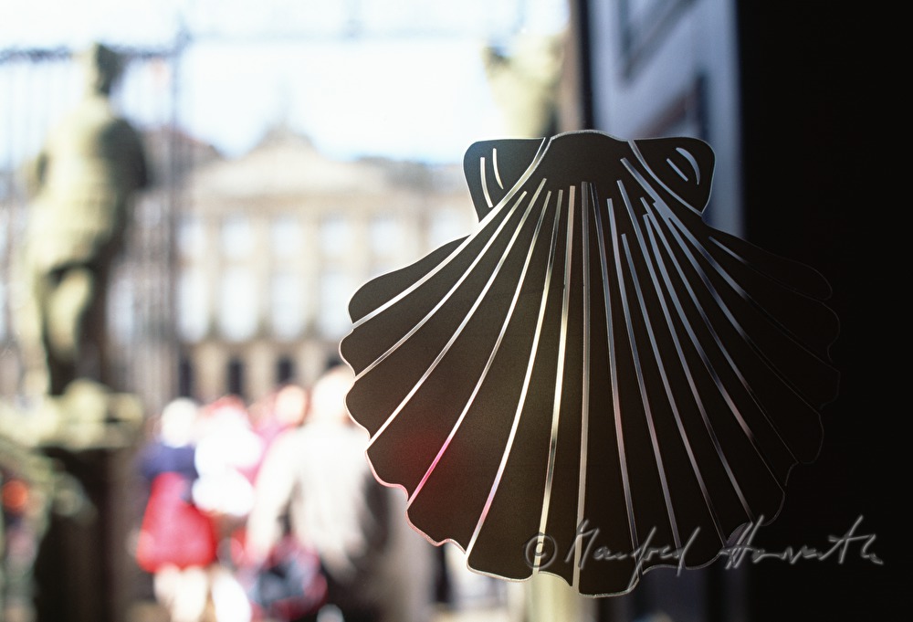 scallop in a souvenir shop