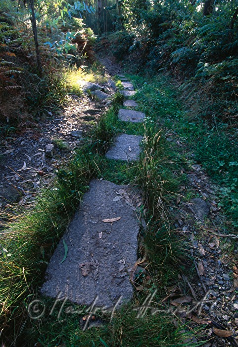 stepping stones on the Way of Saint James