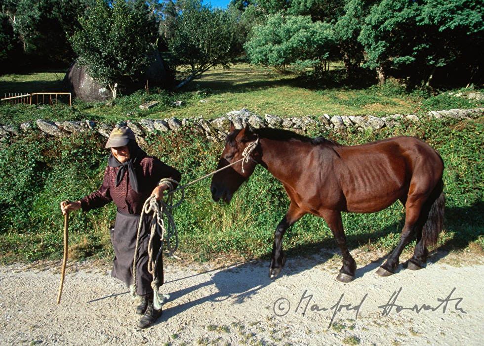 farmers wife with horse