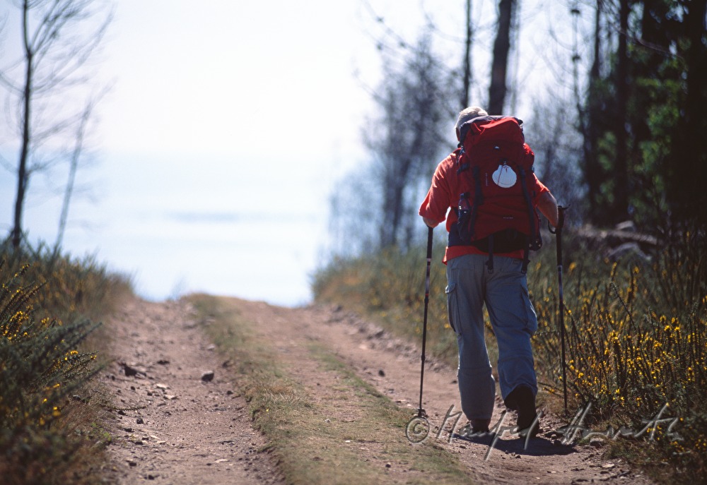 pilgrim on his way