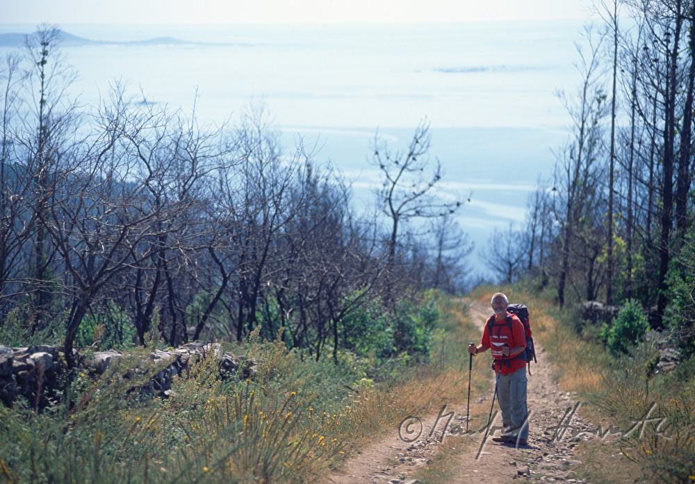 pilgrim on his way