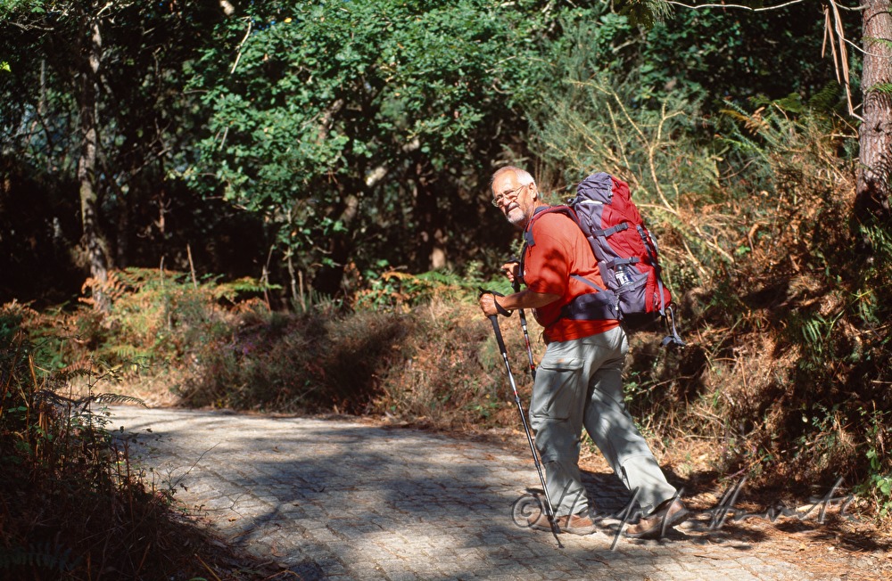 pilgrim on his way