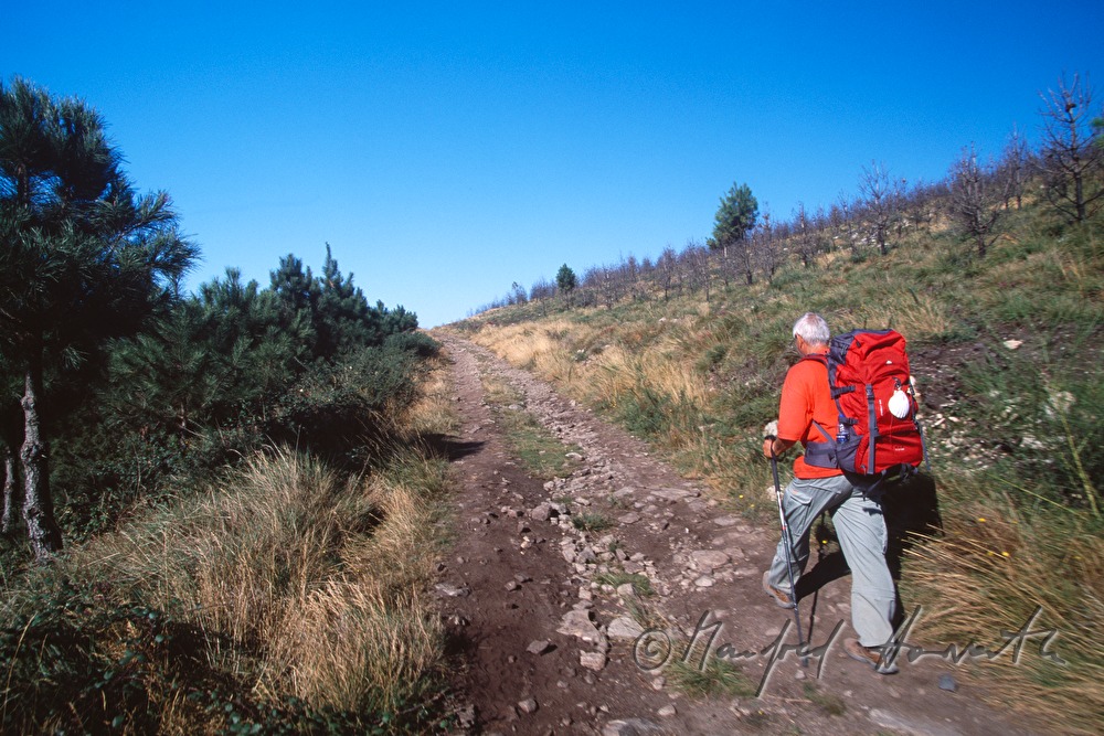 pilgrim on his way