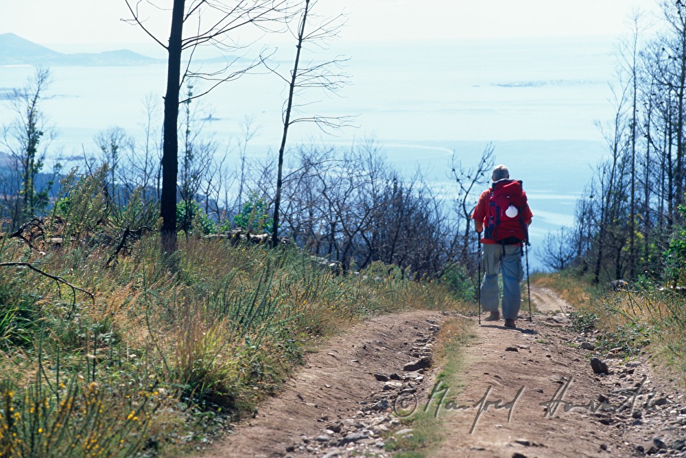 pilgrim on his way