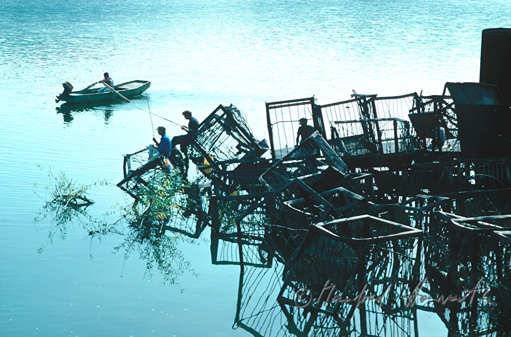 fishermen on the Danube
