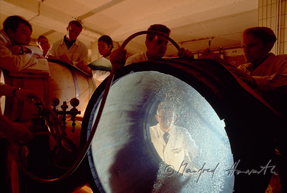 school for wine growing, experiment to understand fermentation of wine