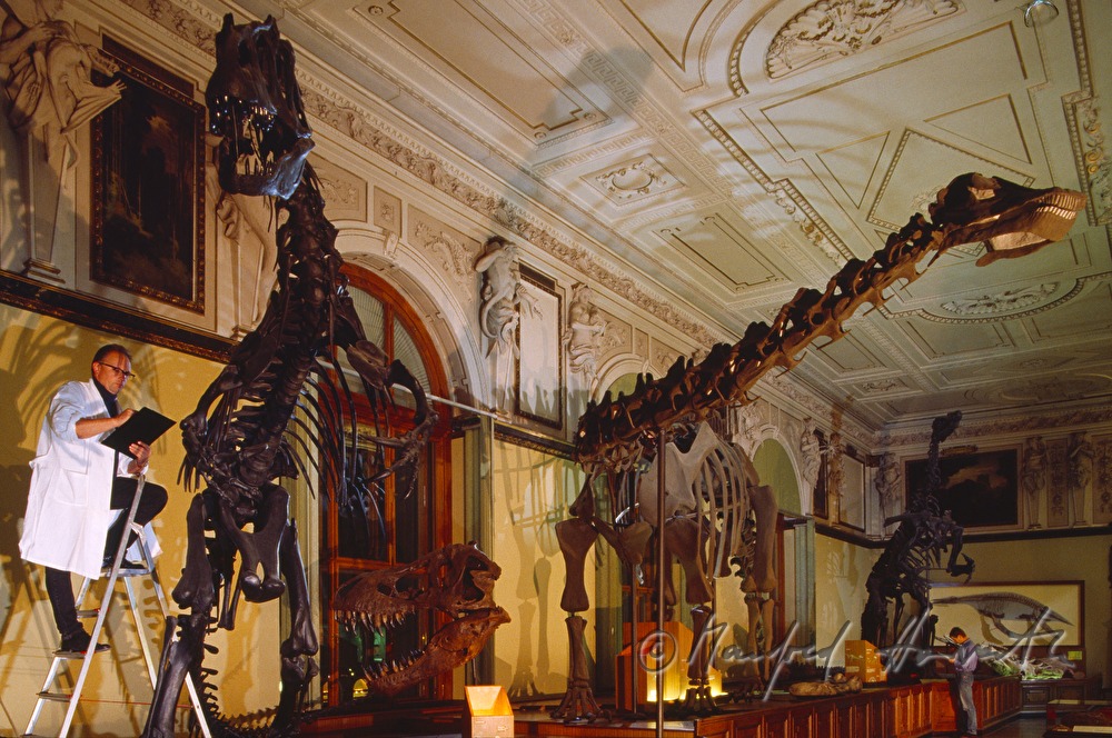 biologists in the dino room