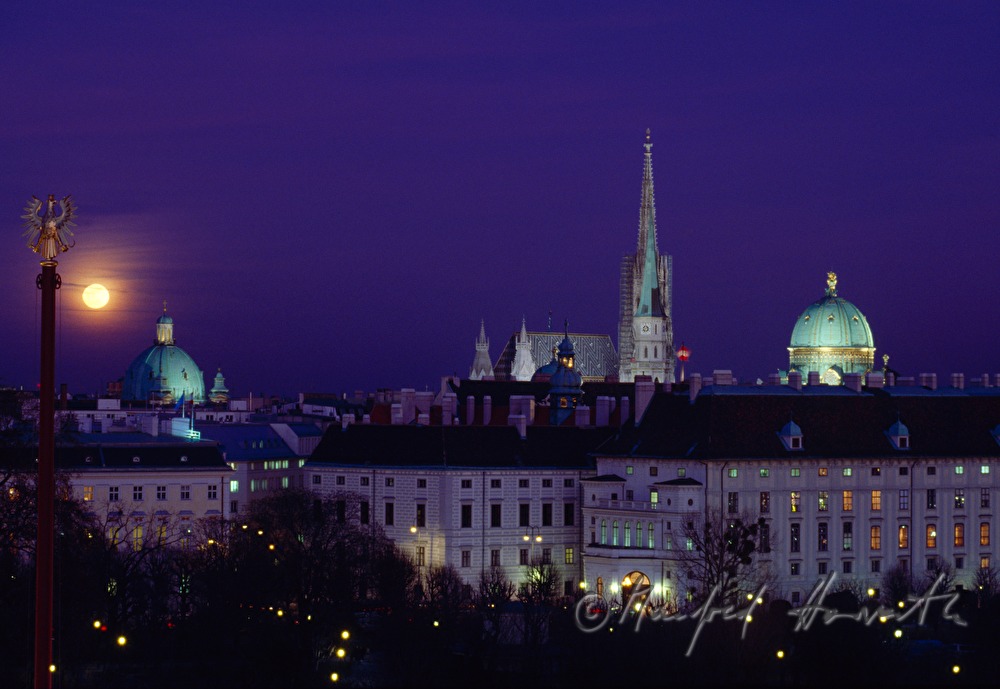 view from the roof of the Museum of Art History