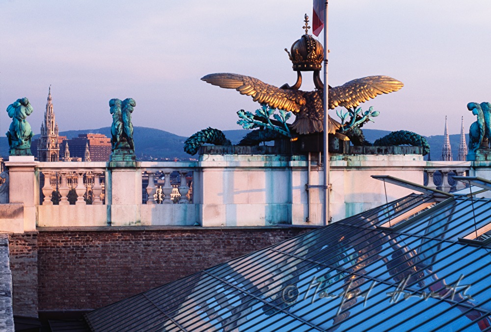 view from the roof of the Neue Burg
