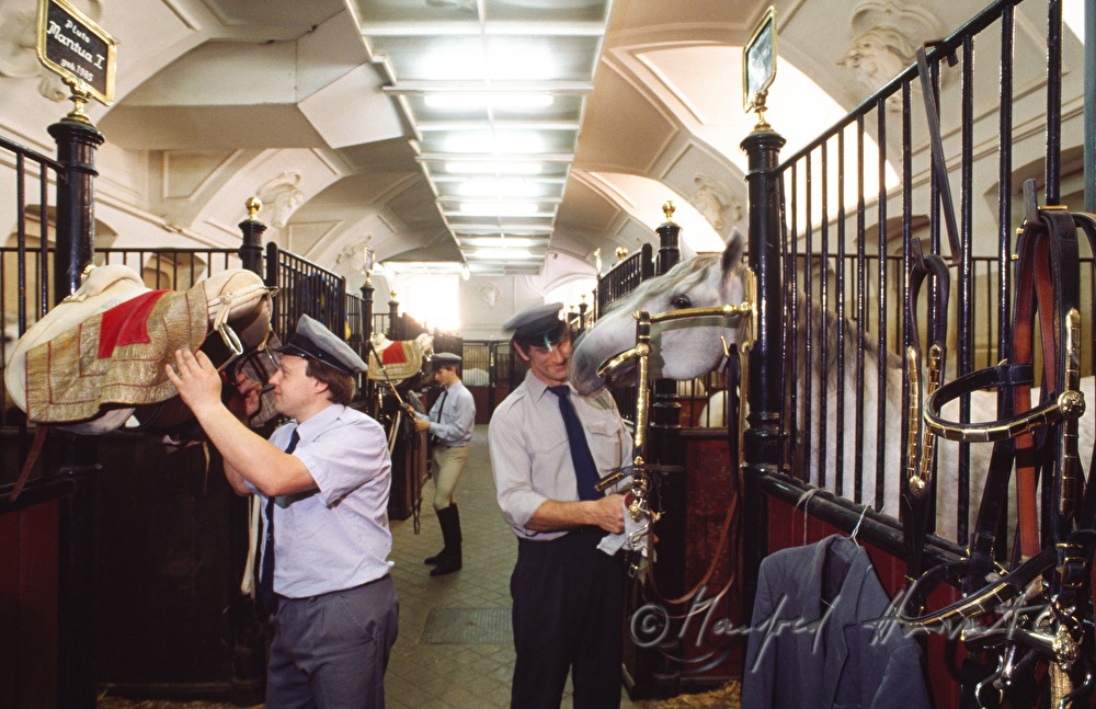 grooms at work in the stable