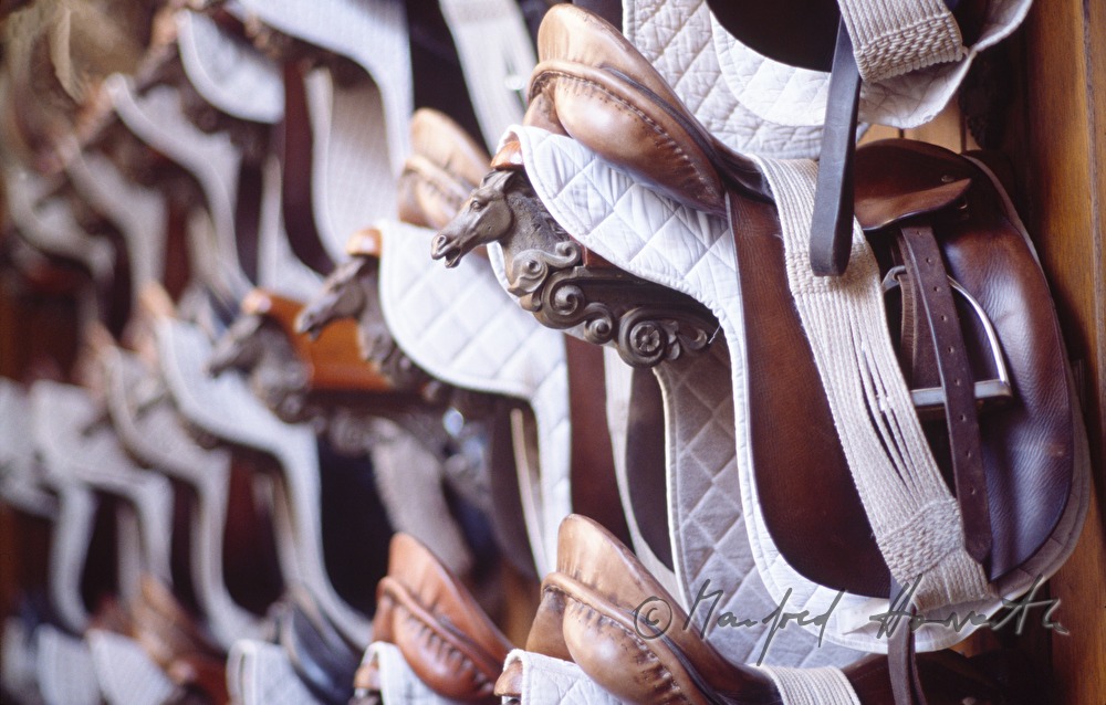 saddles in the tack room