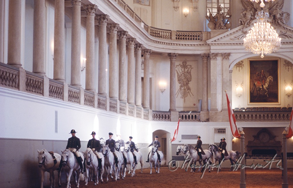 training in the riding hall