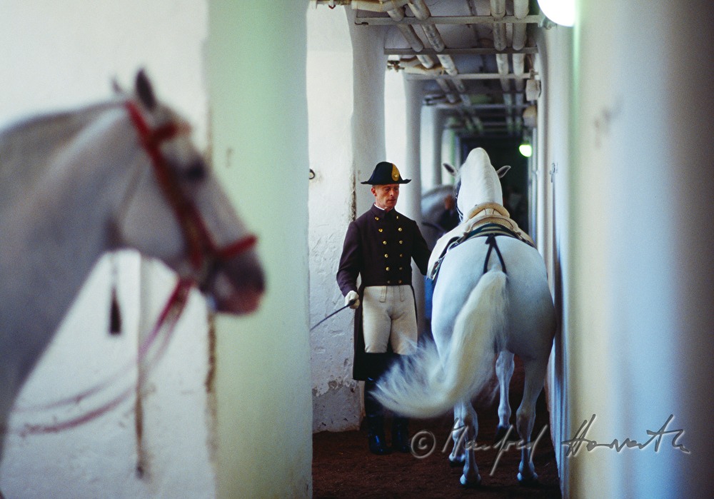 rider in the gangway next to the arena