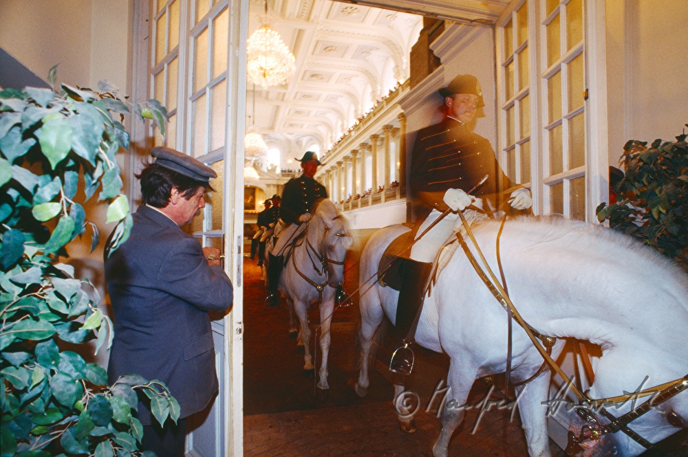 rider in the cloakroom puts on his gloves