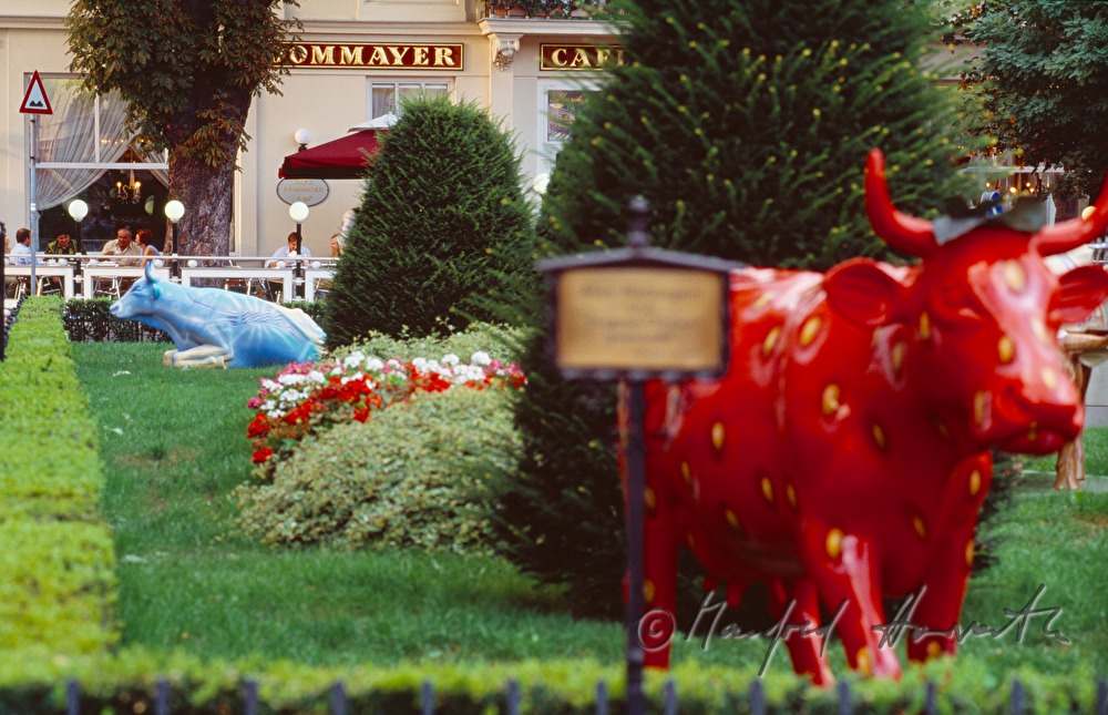 Cafe Dommayer, courtyard dining