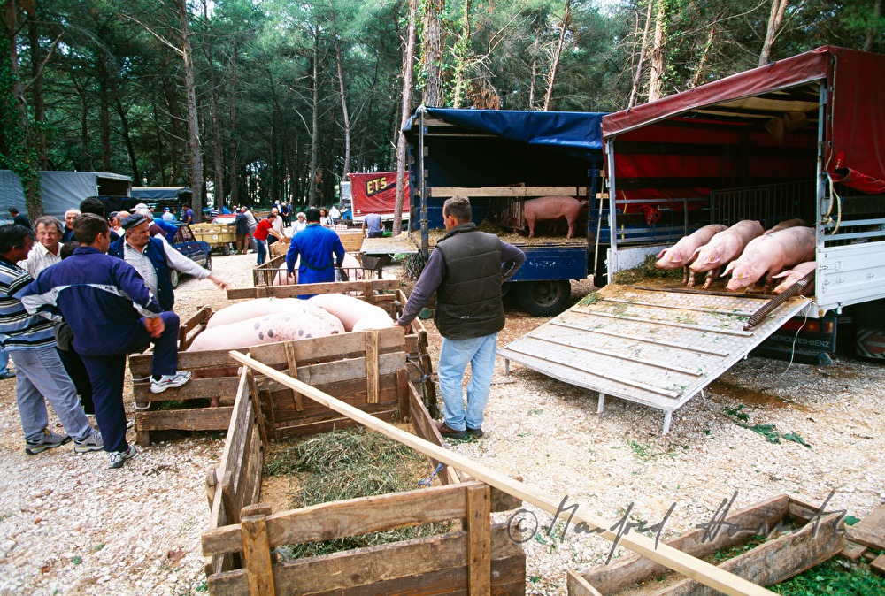 sale of porks from the ramp