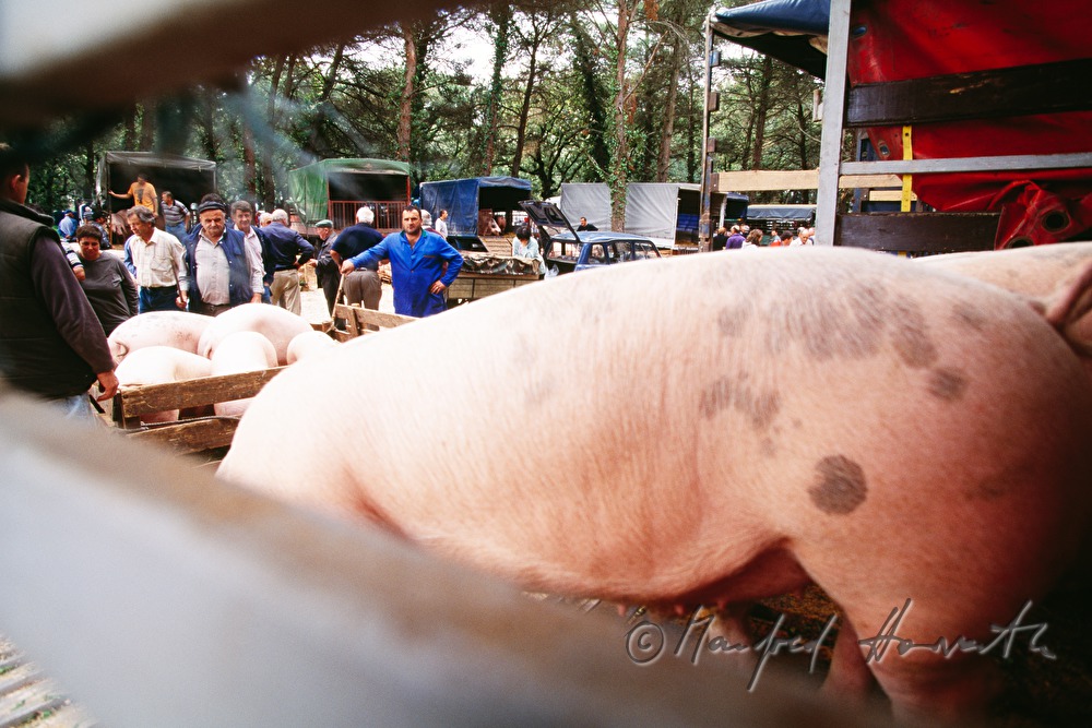 sale of porks from the ramp
