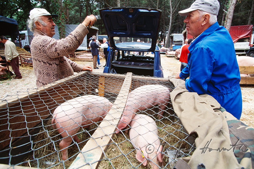 sale of porks from the ramp