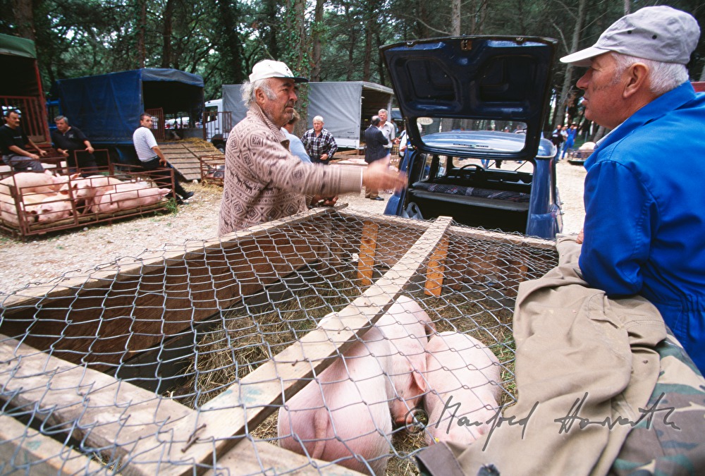 sale of porks from the ramp