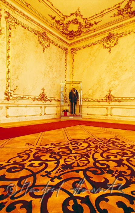 hall with inlaid wooden floor