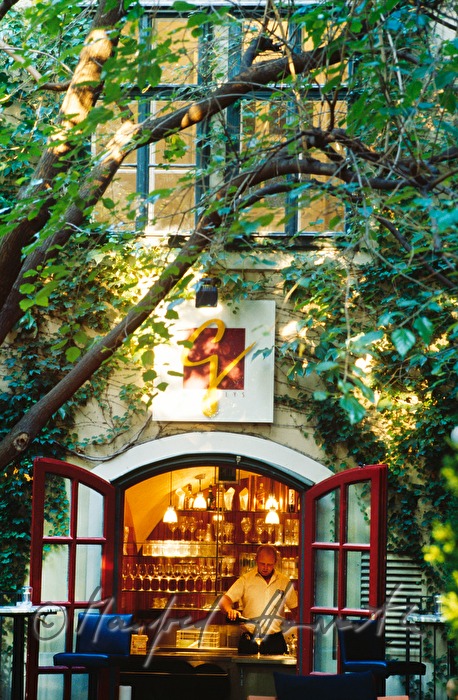 view from the garden to the pub 