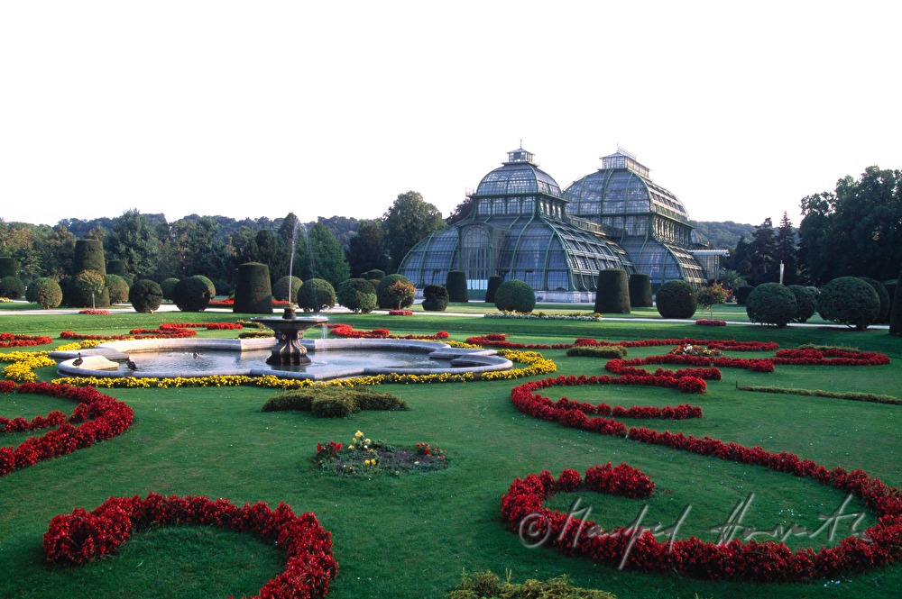 greenhouse and pond