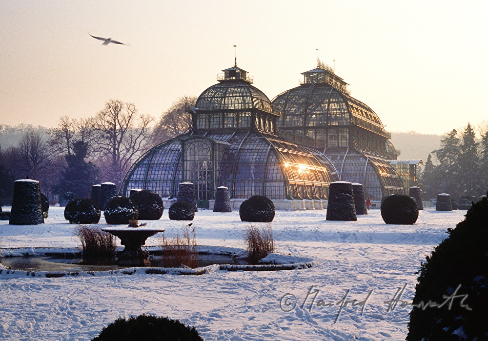 greenhouse in winter