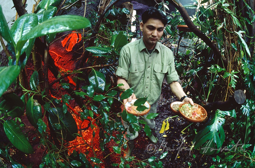 zookeeper feeds the butterflies