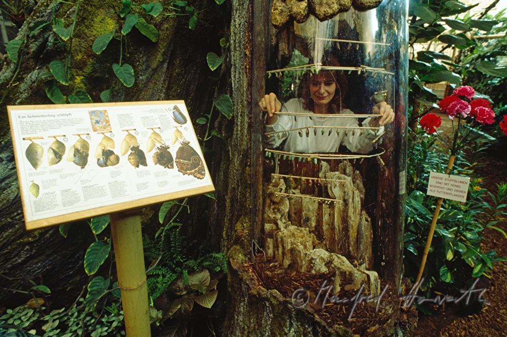 a biologist checks the larva