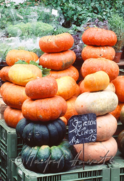 pile of pumpkins