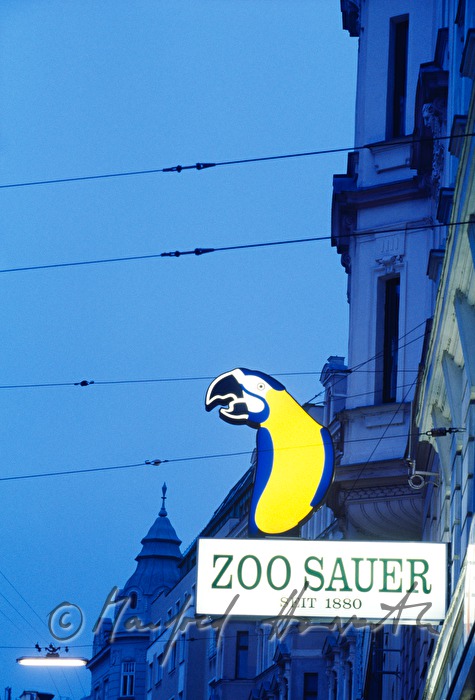 neon sign of the shop with a parrot