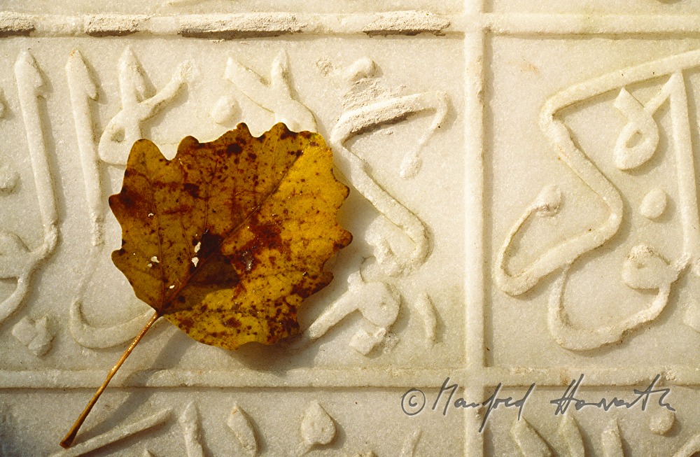 leaf on the Tuerkenstein (memorial)