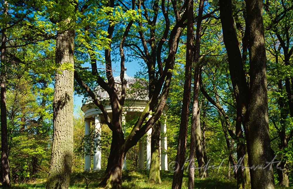 Wilhelminentempel on Wilhelminenberg