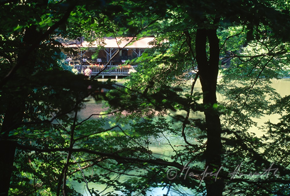 restaurant on Hanslteich