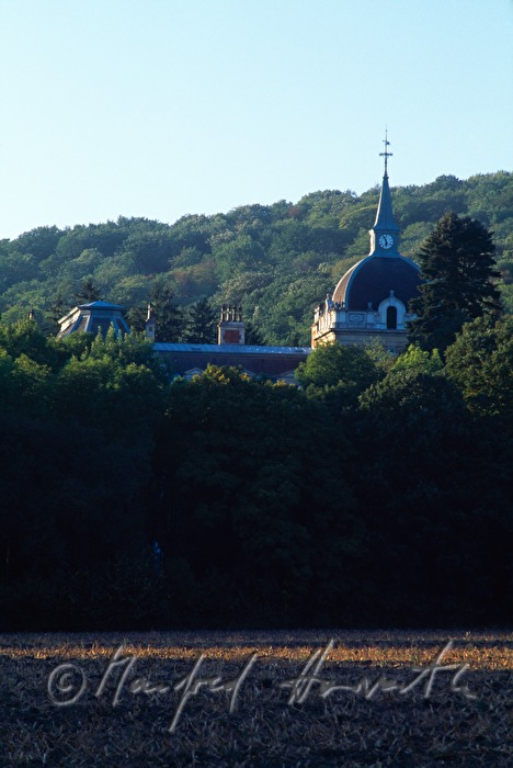 the Hermesvilla is surrounded by forest