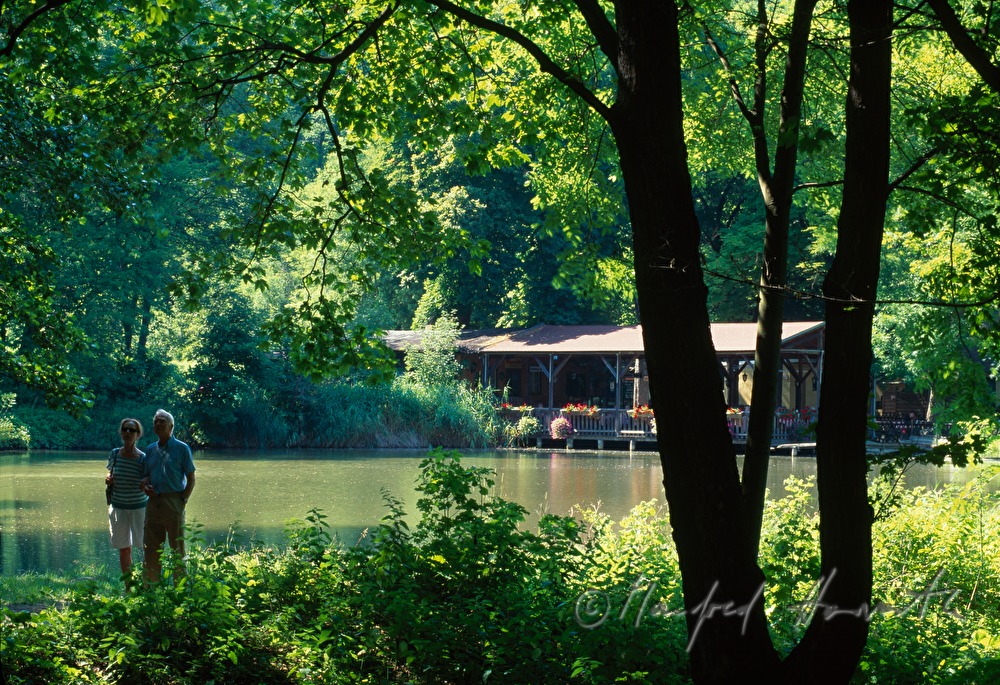 promenaders on the Hanslteich